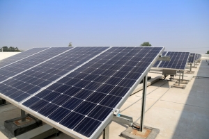 Solar Power for Businesses: Cutting Costs and Going Green